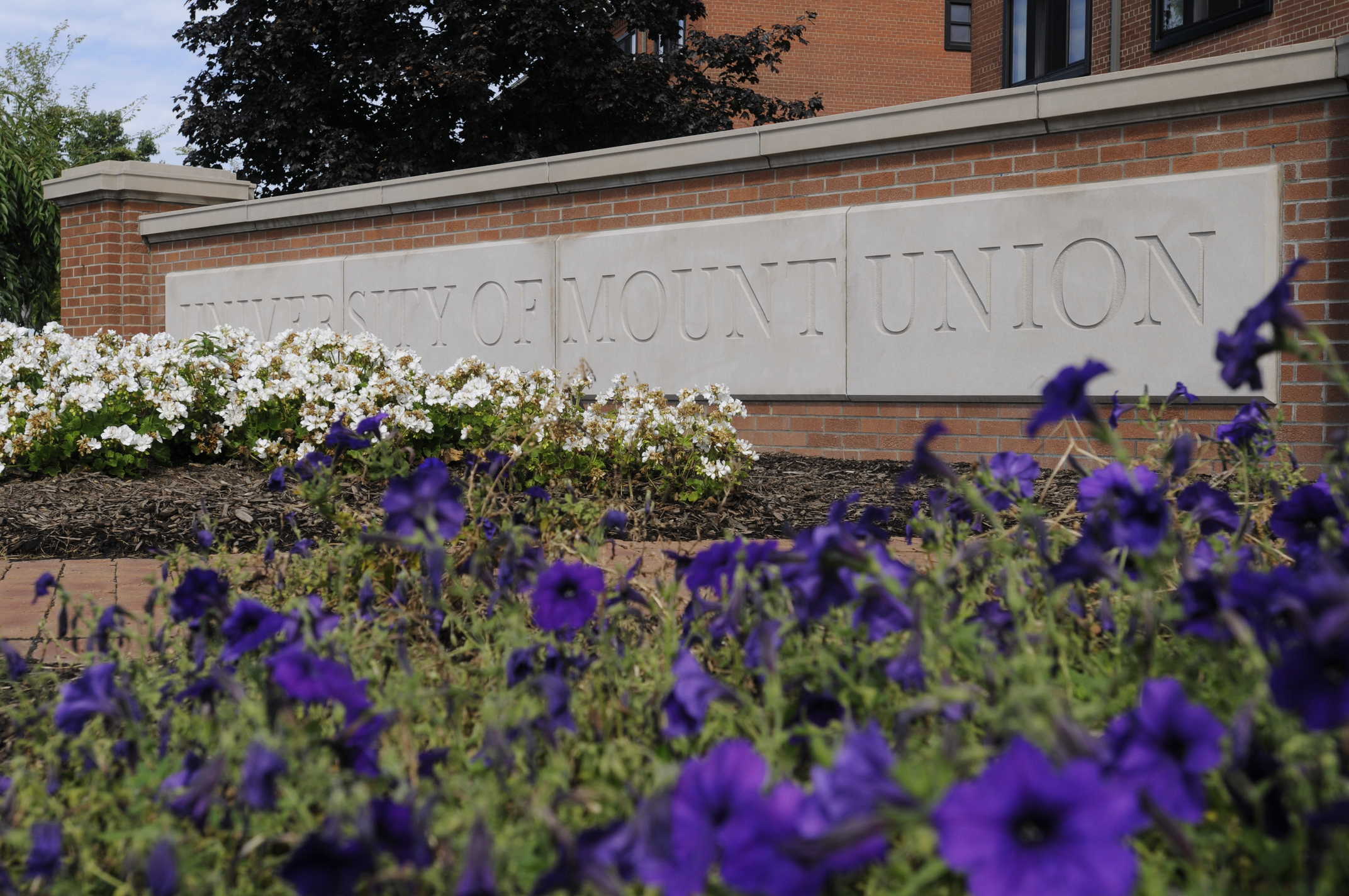 First-Time Student Checklist Fall 2021 | University of Mount Union